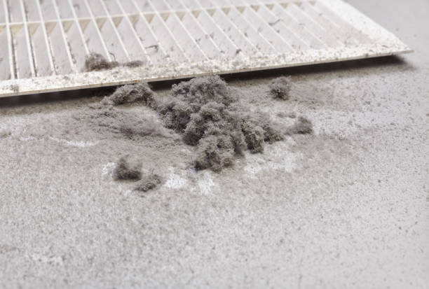 Best Professional Duct Cleaning Services  in Wilmerding, PA