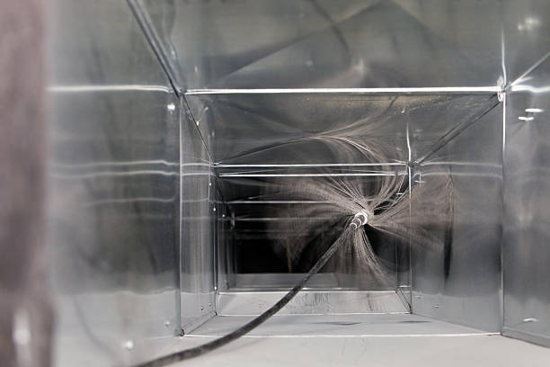 Best Air Duct Mold Removal  in Wilmerding, PA