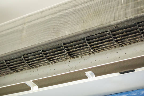 Best Affordable HVAC Duct Cleaning  in Wilmerding, PA